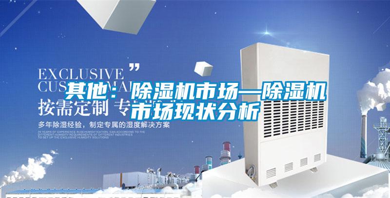 其他：除濕機(jī)市場(chǎng)—除濕機(jī)市場(chǎng)現(xiàn)狀分析