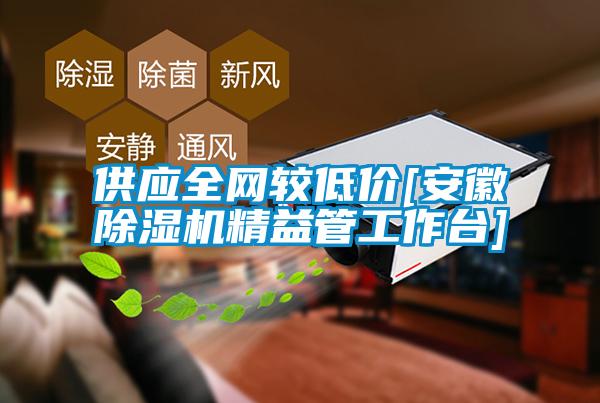 供應全網較低價[安徽除濕機精益管工作臺]