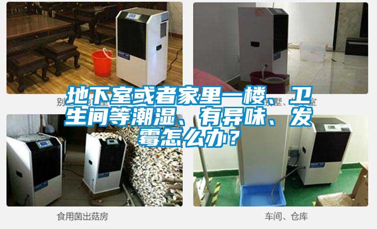 地下室或者家里一樓、衛生間等潮濕、有異味、發霉怎么辦？