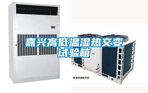 嘉興高低溫濕熱交變試驗(yàn)箱