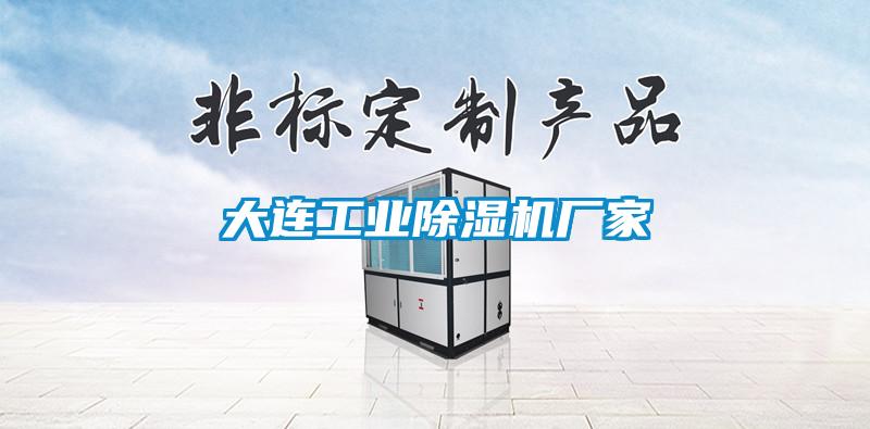大連工業(yè)除濕機(jī)廠家