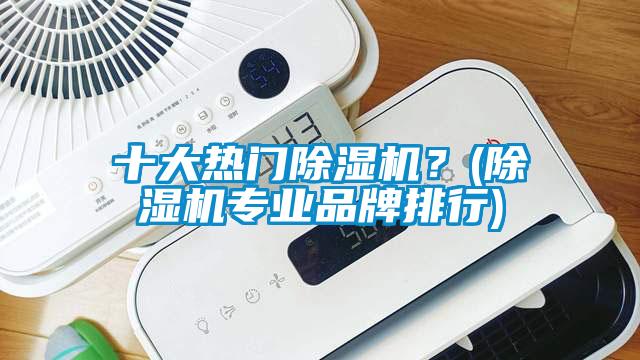 十大熱門除濕機？(除濕機專業品牌排行)