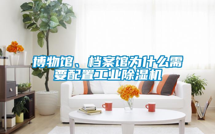 博物館、檔案館為什么需要配置工業除濕機