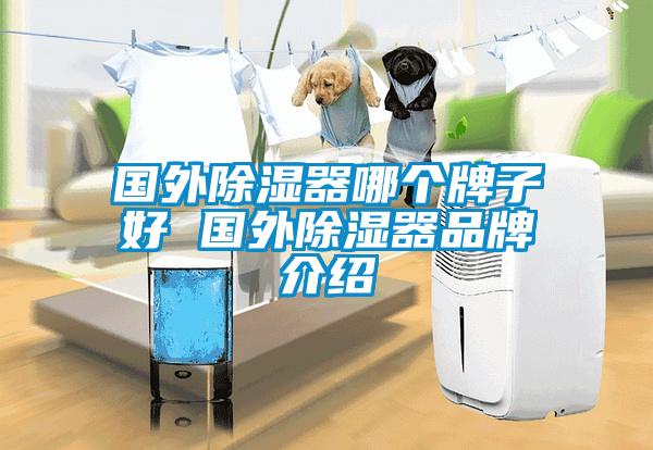 國外除濕器哪個(gè)牌子好 國外除濕器品牌介紹