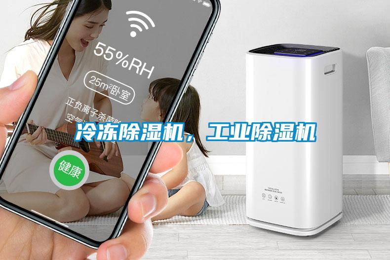 冷凍除濕機，工業除濕機