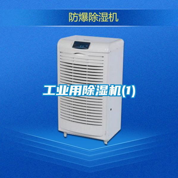 工業(yè)用除濕機(1)