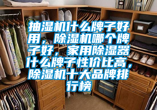 抽濕機(jī)什么牌子好用，除濕機(jī)哪個(gè)牌子好，家用除濕器什么牌子性?xún)r(jià)比高，除濕機(jī)十大品牌排行榜