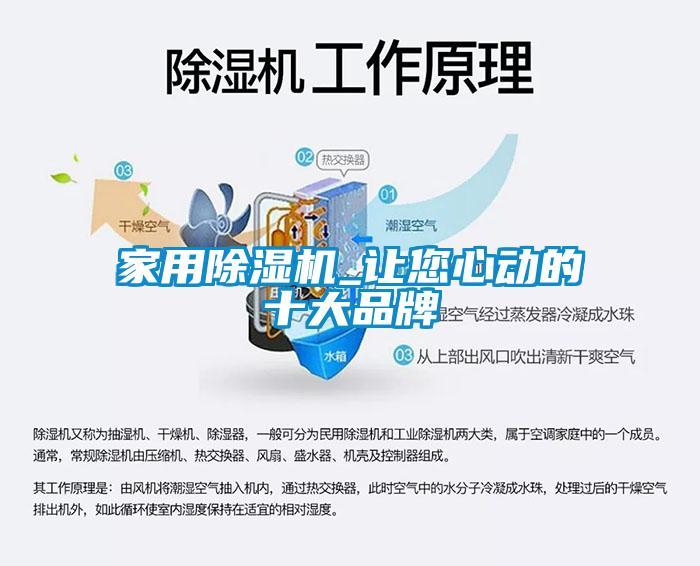 家用除濕機(jī)_讓您心動的十大品牌