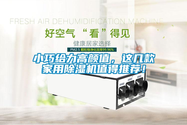 小巧給力高顏值，這幾款家用除濕機值得推薦！
