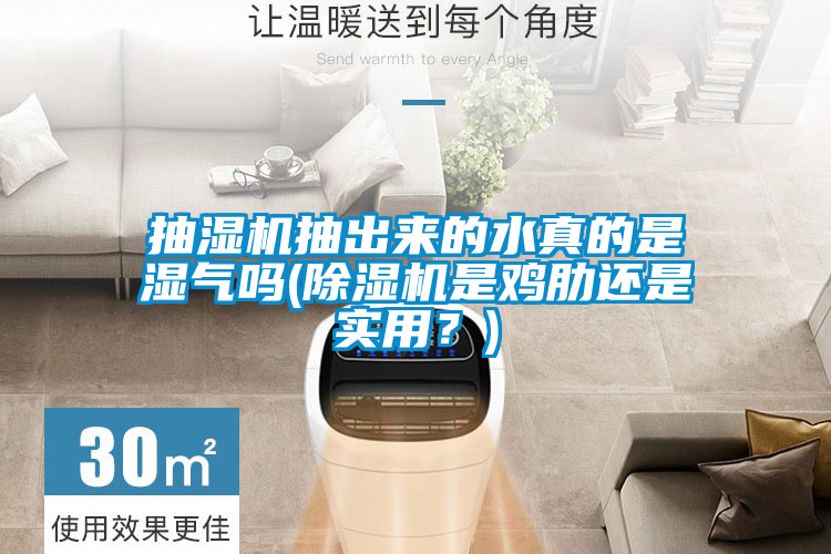抽濕機(jī)抽出來(lái)的水真的是濕氣嗎(除濕機(jī)是雞肋還是實(shí)用？)