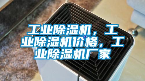 工業(yè)除濕機(jī)，工業(yè)除濕機(jī)價(jià)格，工業(yè)除濕機(jī)廠家