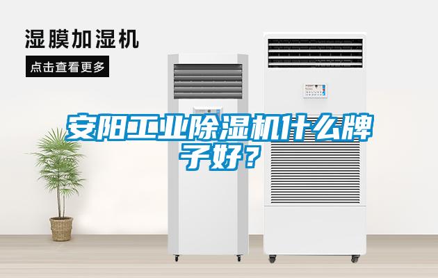 安陽工業除濕機什么牌子好？