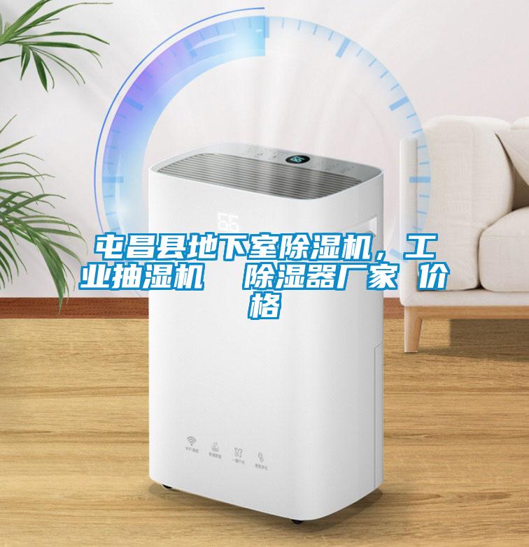 屯昌縣地下室除濕機，工業抽濕機  除濕器廠家 價格