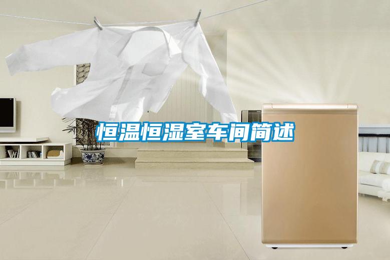 恒溫恒濕室車間簡(jiǎn)述