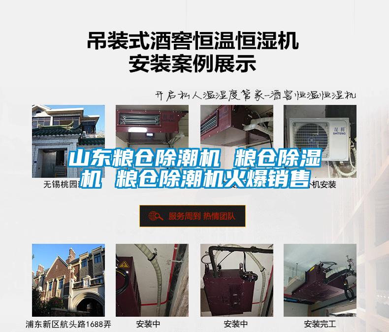 山東糧倉除潮機(jī) 糧倉除濕機(jī) 糧倉除潮機(jī)火爆銷售