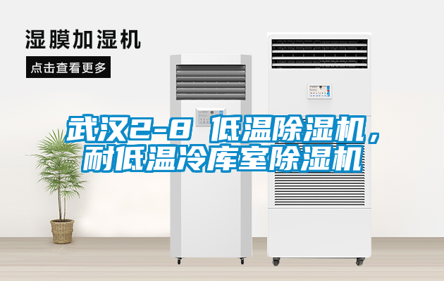 武漢2-8℃低溫除濕機，耐低溫冷庫室除濕機