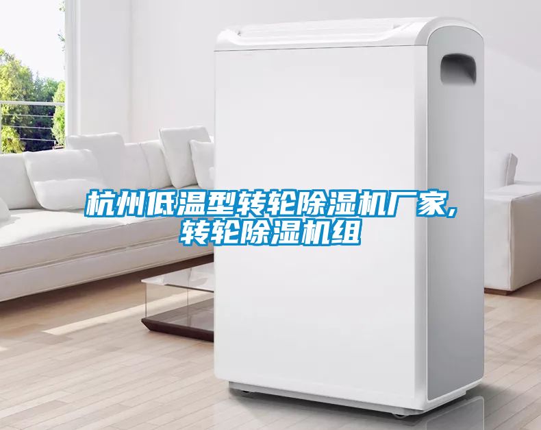 杭州低溫型轉輪除濕機廠家,轉輪除濕機組
