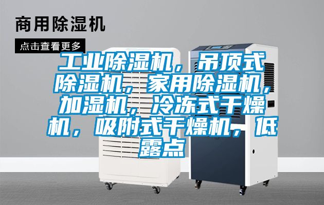 工業除濕機，吊頂式除濕機，家用除濕機，加濕機，冷凍式干燥機，吸附式干燥機，低露點