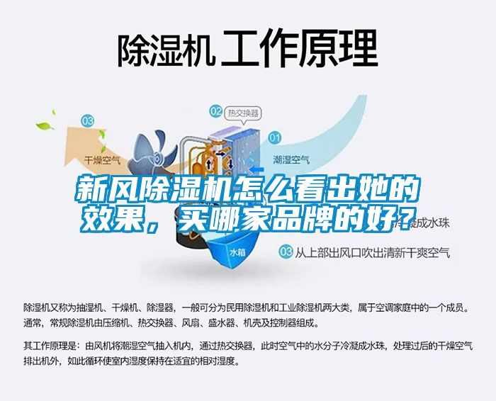 新風除濕機怎么看出她的效果，買哪家品牌的好？