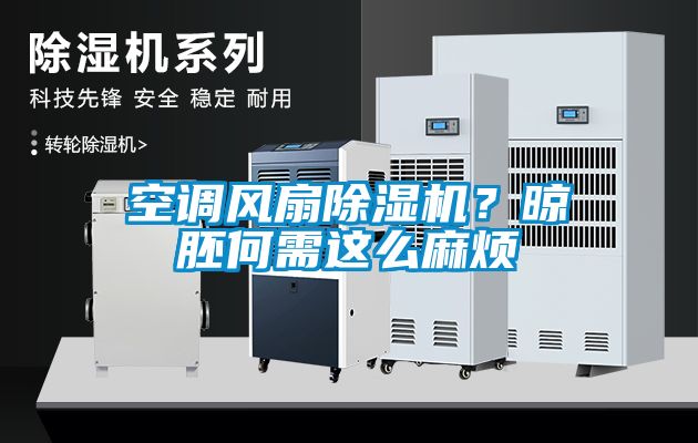空調(diào)風(fēng)扇除濕機(jī)？晾胚何需這么麻煩