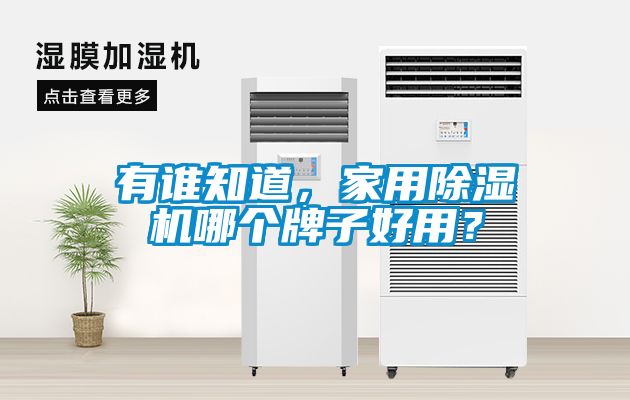 有誰(shuí)知道，家用除濕機(jī)哪個(gè)牌子好用？