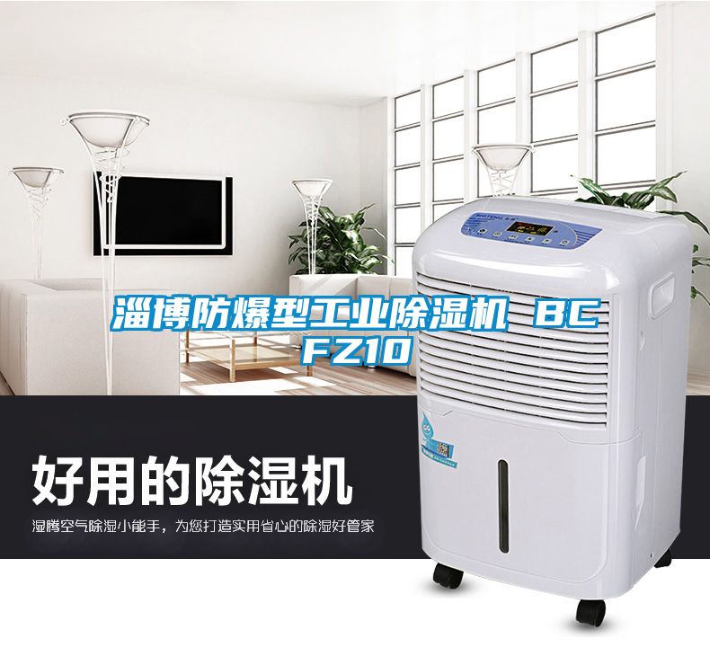 淄博防爆型工業(yè)除濕機(jī) BCFZ10