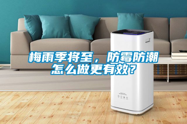 梅雨季將至，防霉防潮怎么做更有效？