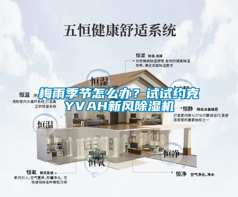 梅雨季節(jié)怎么辦？試試約克YVAH新風(fēng)除濕機(jī)