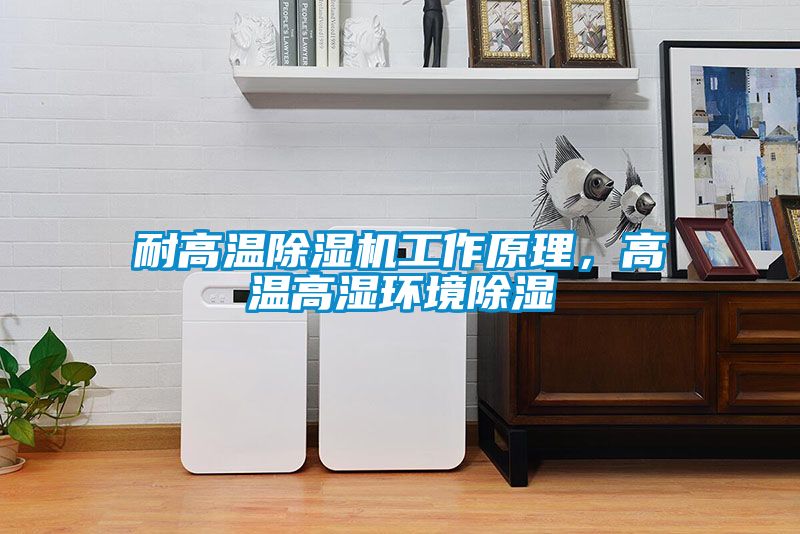 耐高溫除濕機工作原理，高溫高濕環(huán)境除濕