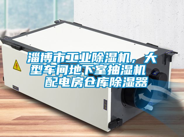 淄博市工業(yè)除濕機(jī)，大型車間地下室抽濕機(jī)  配電房倉(cāng)庫(kù)除濕器