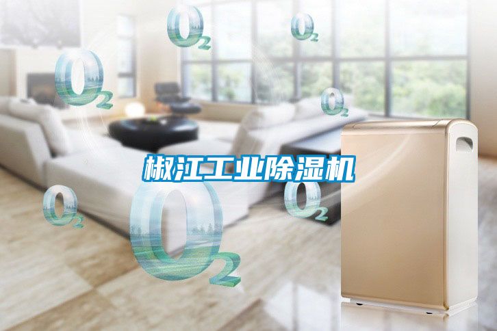 椒江工業除濕機