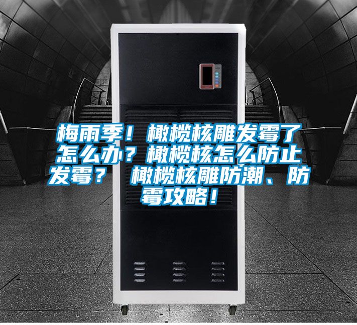 梅雨季！橄欖核雕發霉了怎么辦？橄欖核怎么防止發霉？ 橄欖核雕防潮、防霉攻略！