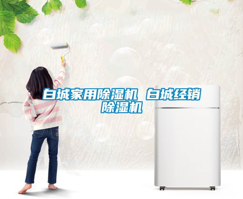 白城家用除濕機(jī) 白城經(jīng)銷(xiāo)除濕機(jī)