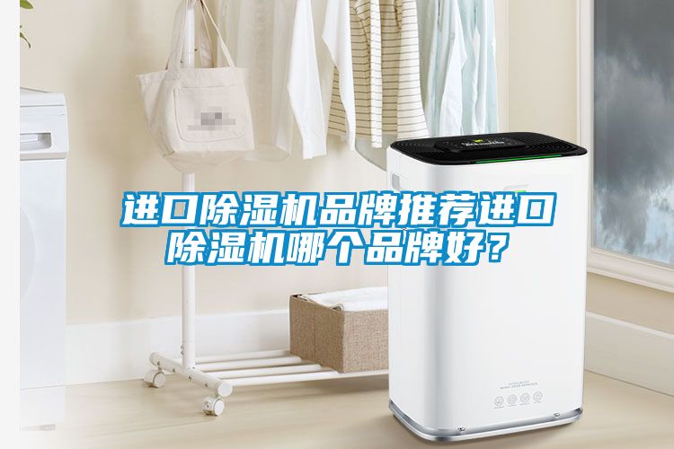 進口除濕機品牌推薦進口除濕機哪個品牌好？