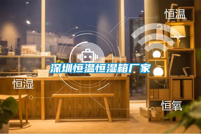 深圳恒溫恒濕箱廠(chǎng)家