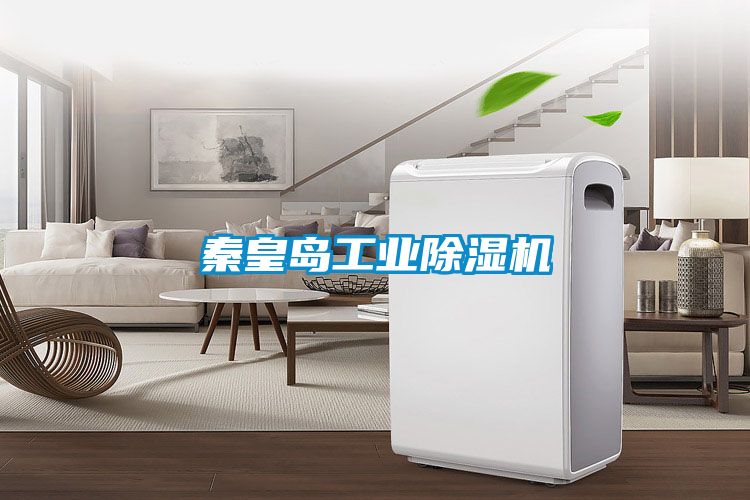 秦皇島工業除濕機