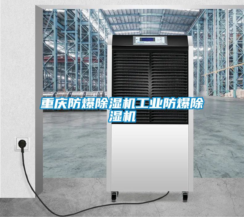 重慶防爆除濕機工業(yè)防爆除濕機