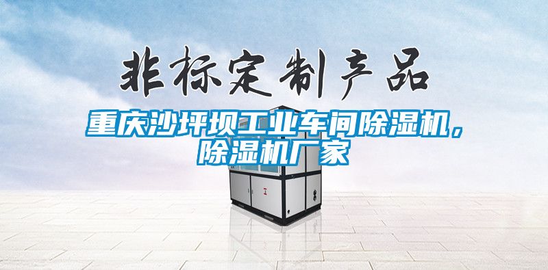 重慶沙坪壩工業(yè)車間除濕機，除濕機廠家