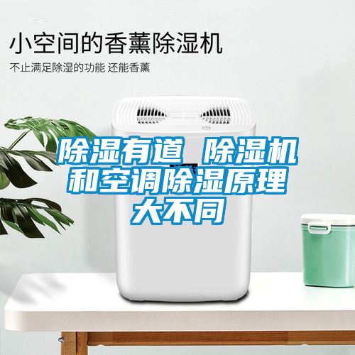 除濕有道 除濕機和空調除濕原理大不同