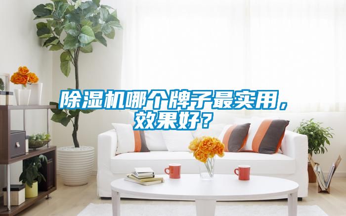 除濕機哪個牌子最實用，效果好？