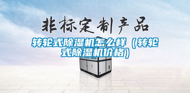 轉輪式除濕機怎么樣（轉輪式除濕機價格）