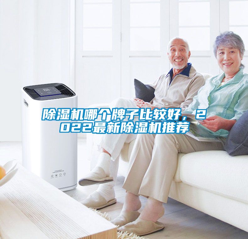 除濕機(jī)哪個牌子比較好，2022最新除濕機(jī)推薦