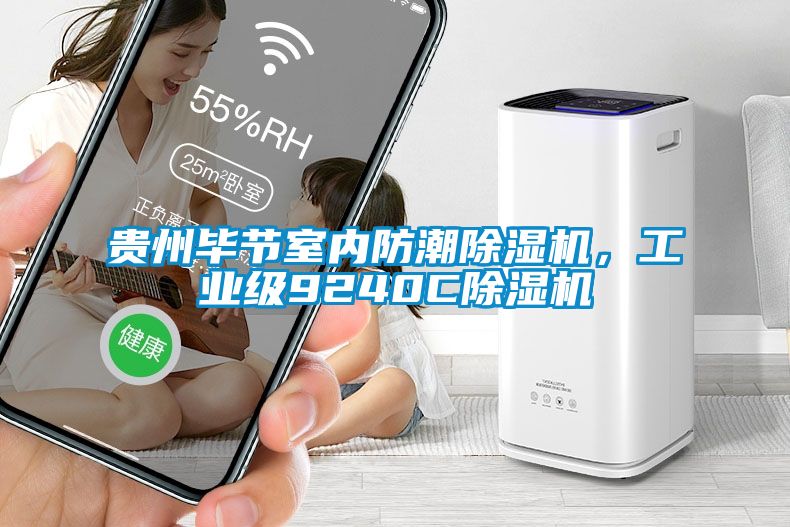 貴州畢節室內防潮除濕機，工業級9240C除濕機
