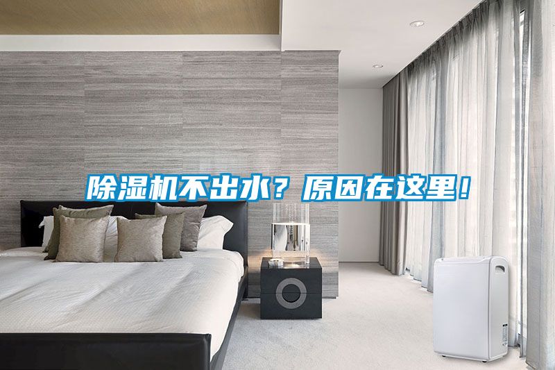 除濕機不出水？原因在這里！