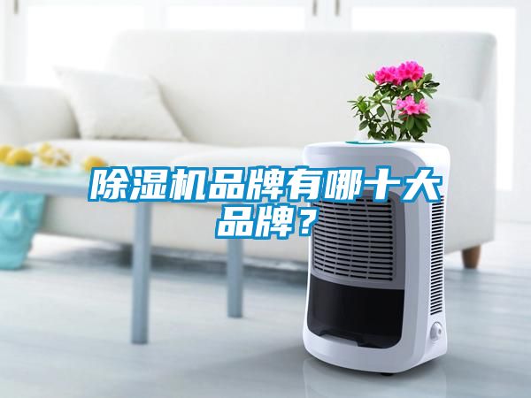 除濕機品牌有哪十大品牌？