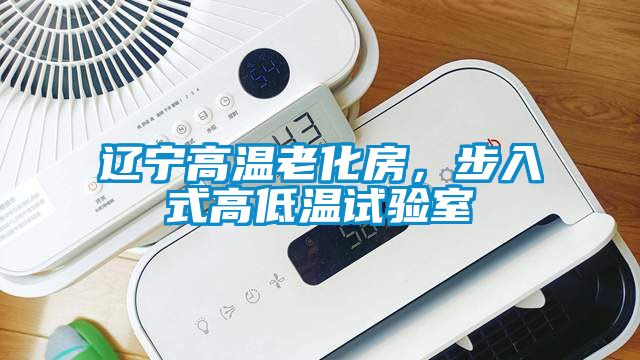 遼寧高溫老化房，步入式高低溫試驗室