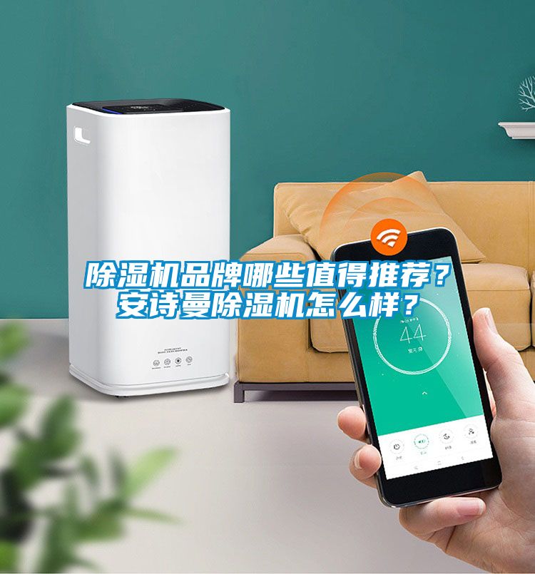 除濕機品牌哪些值得推薦？安詩曼除濕機怎么樣？