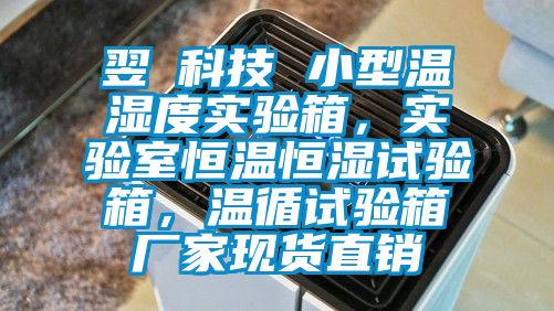 翌昇科技 小型溫濕度實(shí)驗(yàn)箱，實(shí)驗(yàn)室恒溫恒濕試驗(yàn)箱，溫循試驗(yàn)箱廠家現(xiàn)貨直銷