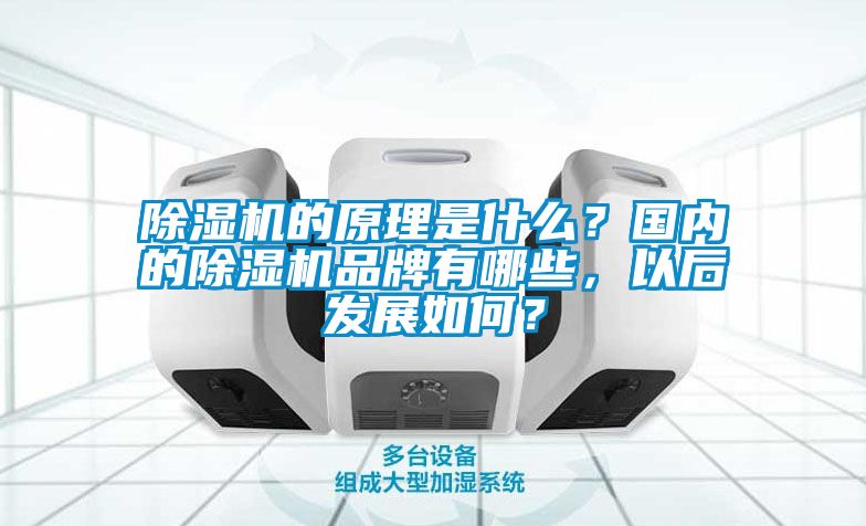 除濕機的原理是什么？國內的除濕機品牌有哪些，以后發展如何？