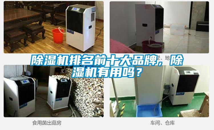 除濕機(jī)排名前十大品牌，除濕機(jī)有用嗎？